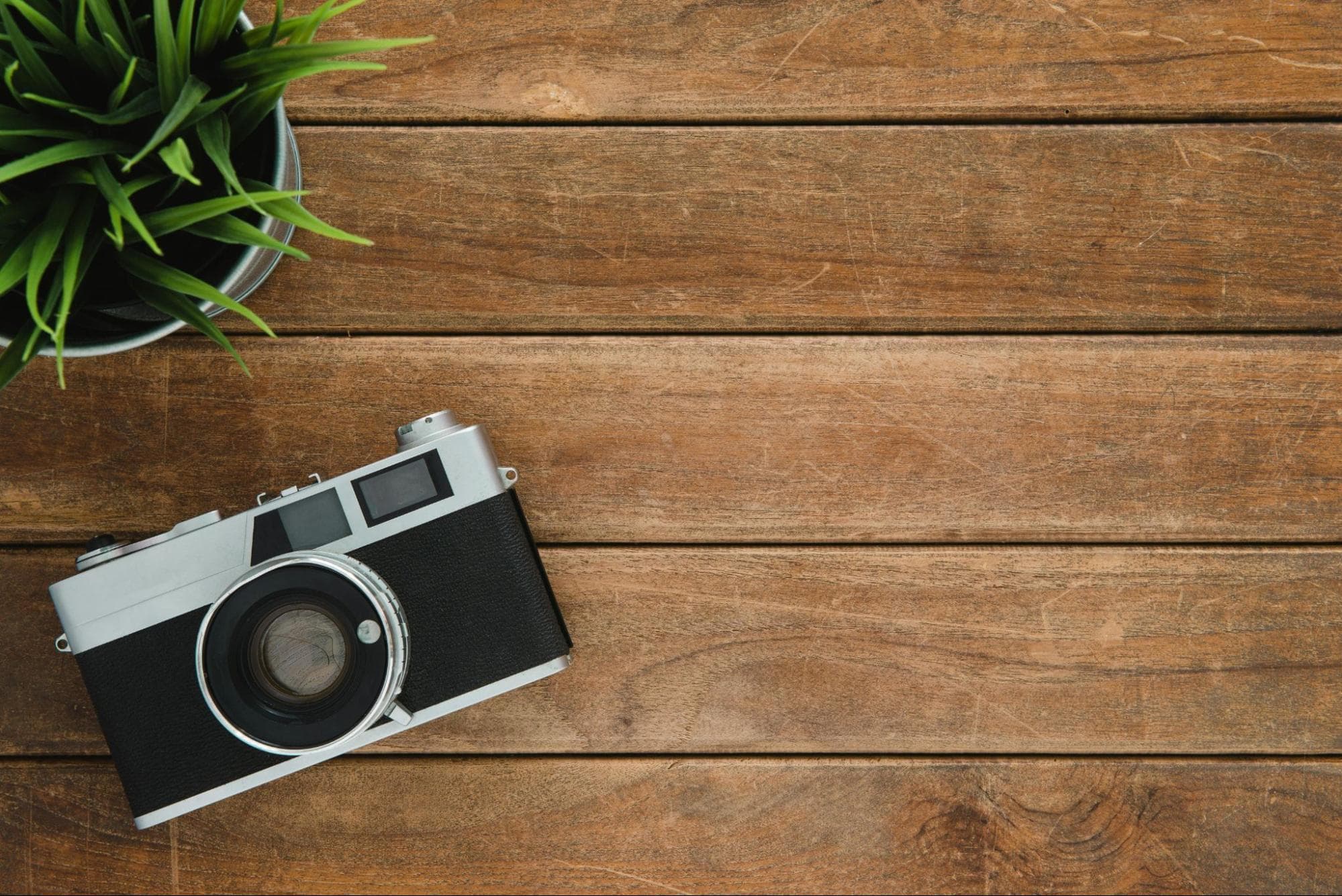 Cover Image for 12 Before-and-After Background Removals That Will Leave You Speechless
